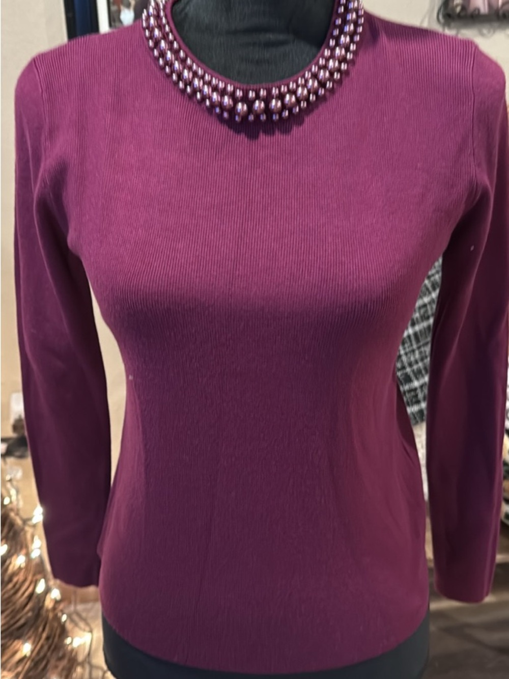 Beaded Crewneck Sweater in Plum - Women’s Long Sleeve